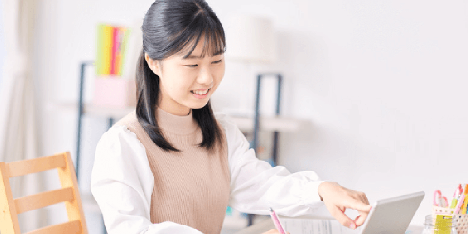 プラチナプランの解決策